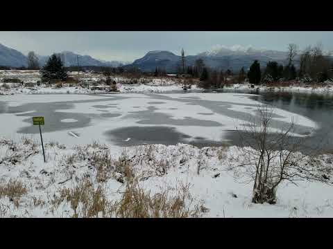ALLEGEDLY COLDEST RECORD ON MAPLE RIDGE DIKES.