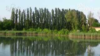 EVENTI E SALONI - Assopannelli Fantoni 2014 Udine