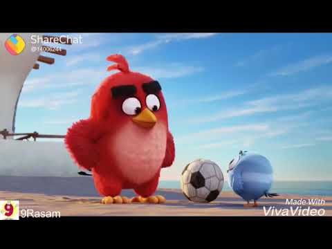 sharechat-angry-birds-funny-video-in-telugu