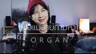 ພໍ່ແມ່ອ້າຍຖາມຫາ ( พ่อแม่อ้ายถามหา ) - [ Cover by ORGAN ]