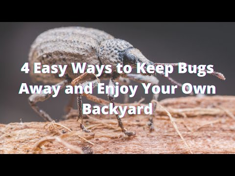 4 Common Sense Ways to Keep Bugs Away and Enjoy Your Backyard