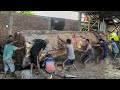 Madness at the sawmill, barefoot workers struggling to move giant logs!!