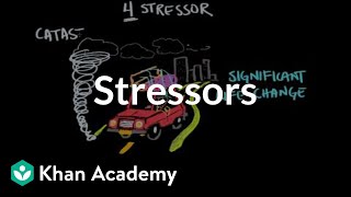 Stressors | Processing the Environment | MCAT | Khan Academy