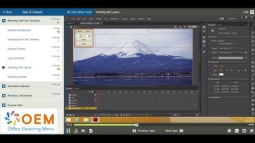 Adobe Flash Professional CC 2015 Elearning Training DEMO