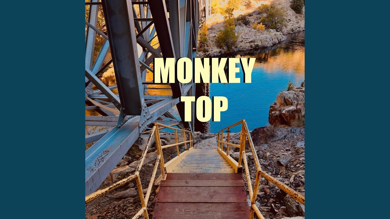 Monkey Top
