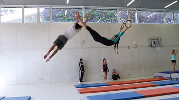 Quels sont les agrès que l'on utilise en gymnastique ?