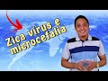 Aula 1 - Zica vírus e microcefalia - Atualidades 2015