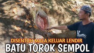 BATU TOROK SEMPOL || Disentuh Mala Keluar Lendir Bikin warga Gempar