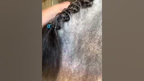 How To Plait A Long Mane - full plait version