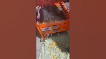 Dal grading machine | Punjab engineering Indore 8982325000