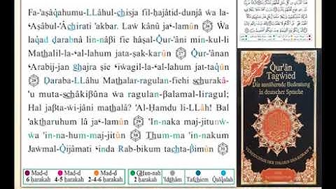 ختمة من مصحف التجويد باللغة الألمانية الصفحة رقم 468
