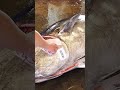 Giant Bluefin Tuna Showdown: Witness the Mesmerizing Speed and Skill of Tuna Cutting