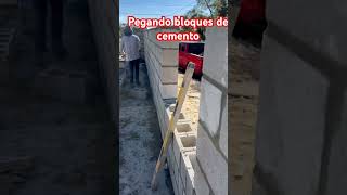 Así se pegan los bloques de cemento #construccion #concrete