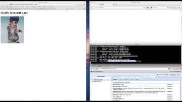 BeEF Cross Domain Proxy