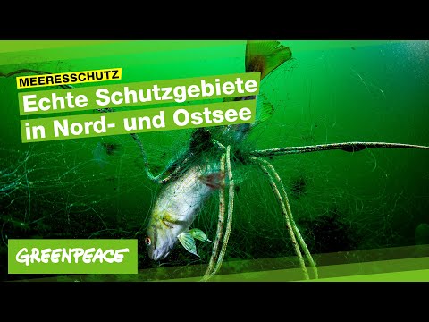 Video: Was sind Grundschleppnetzfischer?