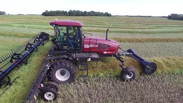 Swathing 2019