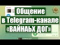 Общение в Telegram-канале «ВАЙНАЬХ ДОГ» (12.05.23 г.)