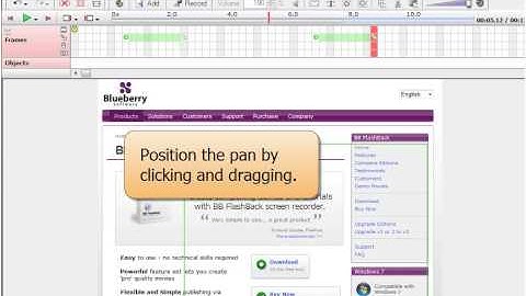 BB FlashBack User Guide: Creating Pan and Zoom Effects