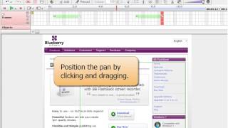 BB FlashBack User Guide: Creating Pan and Zoom Effects