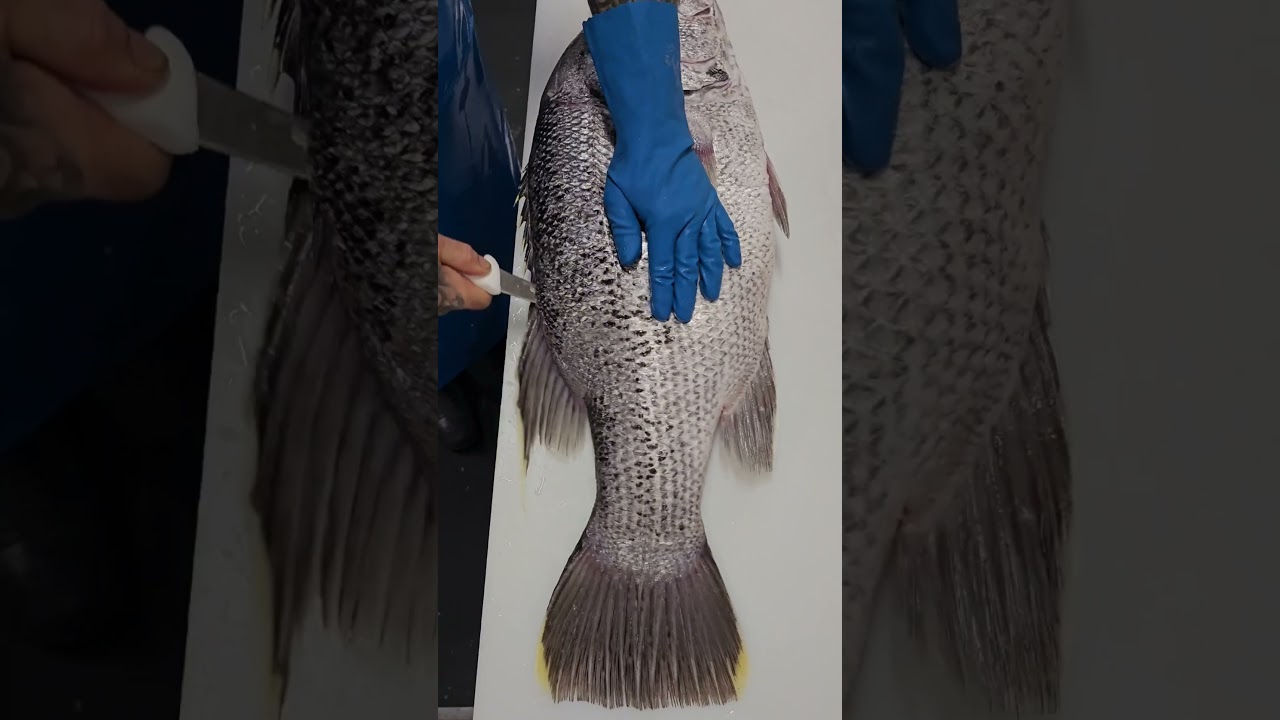 fish cutting skill  