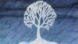 Canada Vignettes - Trees