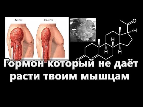 Этот гормон, мешает твоим мышцам расти. Прогестерон