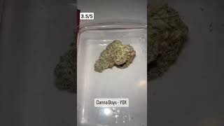 Canna Boys YBX Review This post is for educational purposes only hightimescannab