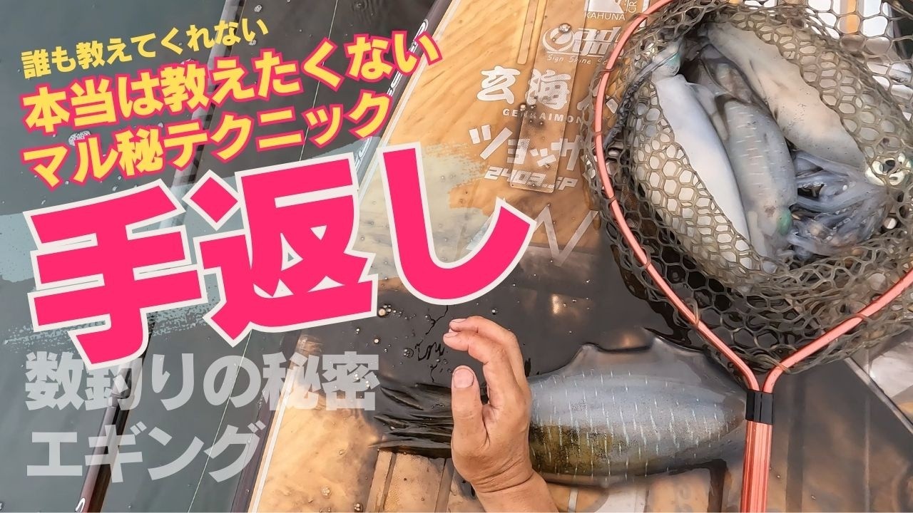 エギングで本当は教えたくない数釣りのテクニック！初心者も必見の春