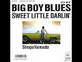 浜田省吾 SHOGO HAMADA SWEET LITTLE DARLIN' 華やかな誤算 シングル B面 レコード