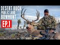 "I'm Obsessed with Him!" BIG DESERT MULEY with a BOW | PUBLIC LAND BOWHUNT