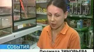 В зоомагазинах - небывалый спрос на игуан и ящериц В зоомагазинах - небывалый спрос на игуан и ящериц