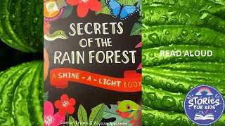 SECRETS OF THE RAIN FOREST | READ ALOUD STORIES