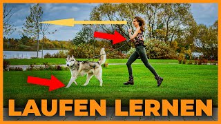 So lauft ihr einen Marathon mit Hund by Der Tierarzt - Dr. Karim Montasser 1,791 views 1 month ago 4 minutes, 21 seconds