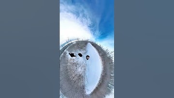 Insta360 X3