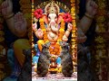 Two rates before Ganpati bappa Morya short