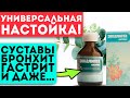 Об этих свойствах не знают большинство врачей! Настойка эвкалипта при гинекологии, суставах …