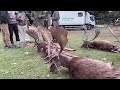 "Montería en Segovia con Cacerías Cabezas"