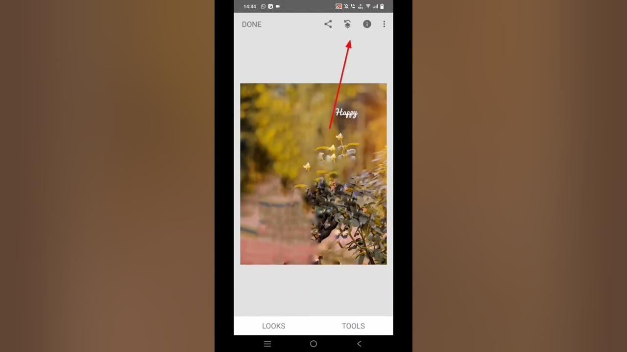 Online photo editor change background color to white YouTube