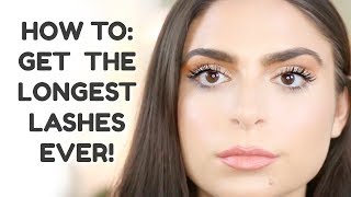 HOW TO GET THE LONGEST LASHES EVER! |BEST DRUGSTORE MASCARA