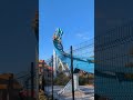 Surfs Up! #rides #rollercoasters #themeparks #seaworld #seaworldorlando #surf #florida #pipeline