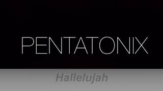 Hallelujah Avi