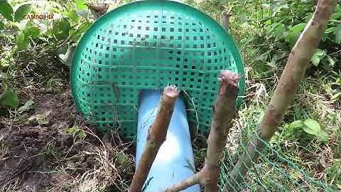 Awesome Big Snake Trap -Amazing Snake Trap In Cambodia - How To Make Big Python Snake Trap Work 100%