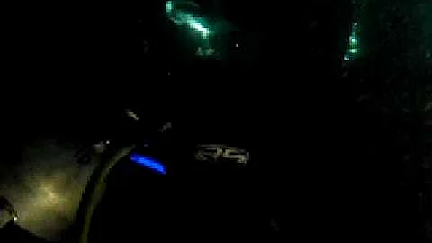 Manta Ray Dive at Night with Nicole Wegner