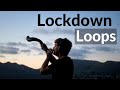 Ableton live looping  13 instruments  one man  reinhardt buhr  lockdown loops