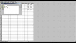 SPSS Value Labels