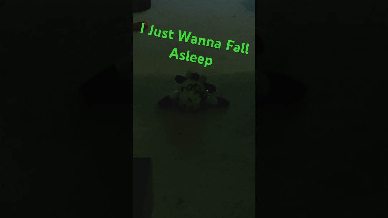 I just wanted to fall asleep 