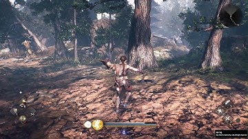 Nioh 3 Alpha Demo Mode Swap Animation Cancel