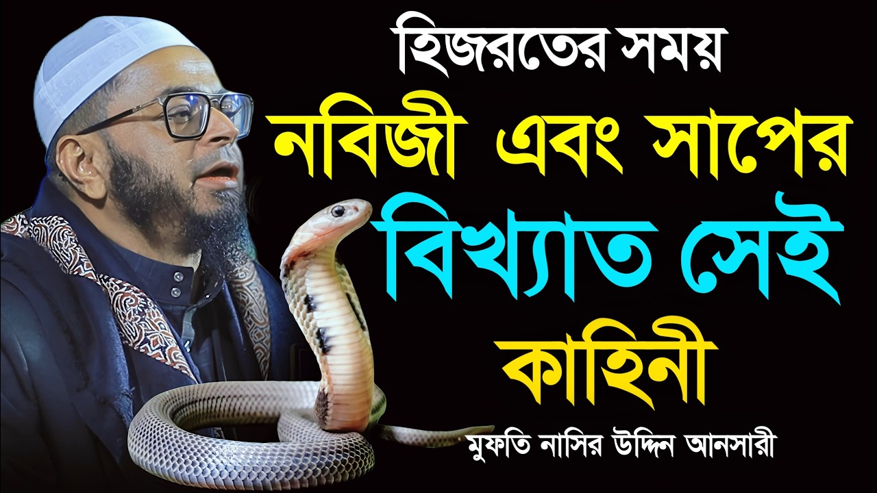 হিজরতের সময় নবিজী এবং সাপের সেই বিখ্যাত ঘটনা। মুফতি নাসির উদ্দিন আনসারী। Mufti Nasir Uddin Ansari