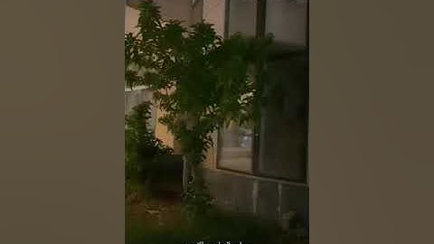 ٰ 📖 { ماتيسّر من سورة الزمر....} 🌿 💭 القارئ : سليمان المهنا عافاه الله • • • ❉