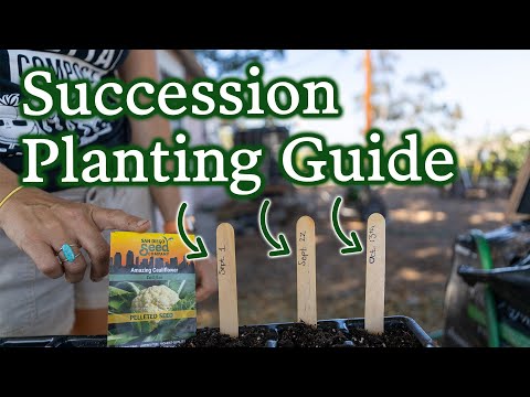 וִידֵאוֹ: Succession Planting Your Garden: What Is Succession Planting